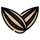 Sunflower Seed